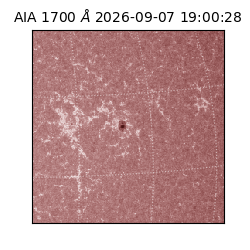 saia - 2026-09-07T19:00:28.717000
