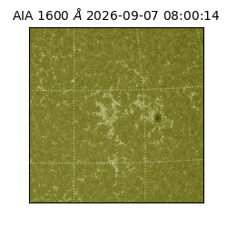 saia - 2026-09-07T08:00:14.123000
