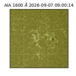 saia - 2026-09-07T09:00:14.123000
