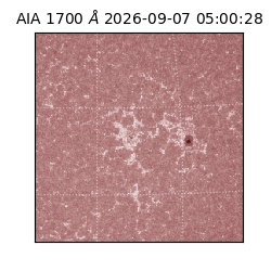saia - 2026-09-07T05:00:28.723000