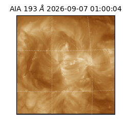 saia - 2026-09-07T01:00:04.842000