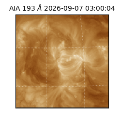 saia - 2026-09-07T03:00:04.842000