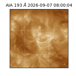 saia - 2026-09-07T08:00:04.842000