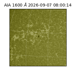 saia - 2026-09-07T08:00:14.123000