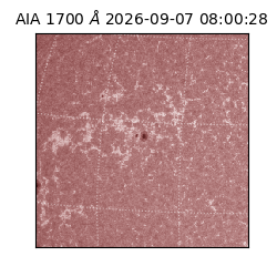 saia - 2026-09-07T08:00:28.716000
