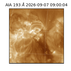 saia - 2026-09-07T09:00:04.842000