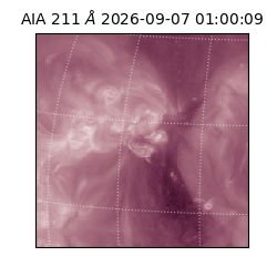 saia - 2026-09-07T01:00:09.623000