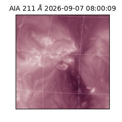 saia - 2026-09-07T08:00:09.631000