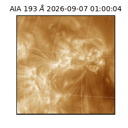 saia - 2026-09-07T01:00:04.842000