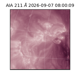 saia - 2026-09-07T08:00:09.631000