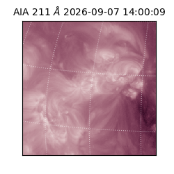 saia - 2026-09-07T14:00:09.624000
