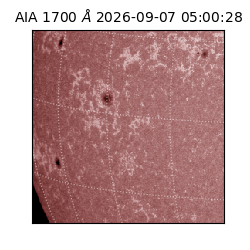saia - 2026-09-07T05:00:28.723000