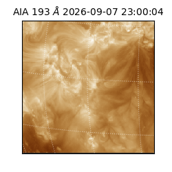 saia - 2026-09-07T23:00:04.842000