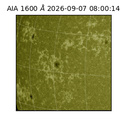 saia - 2026-09-07T08:00:14.123000