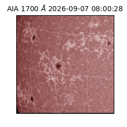 saia - 2026-09-07T08:00:28.716000