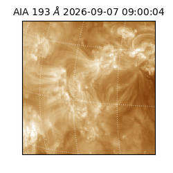 saia - 2026-09-07T09:00:04.842000