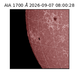 saia - 2026-09-07T08:00:28.716000