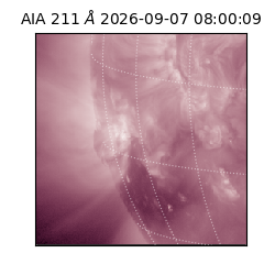 saia - 2026-09-07T08:00:09.631000