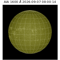 saia - 2026-09-07T08:00:14.123000