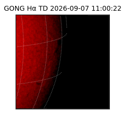 gong - 2026-09-07T11:00:22