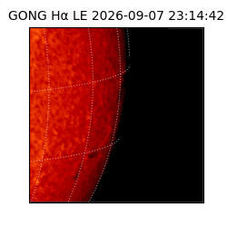 gong - 2026-09-07T23:14:42