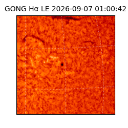 gong - 2026-09-07T01:00:42