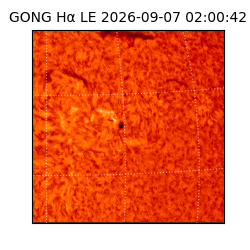 gong - 2026-09-07T02:00:42