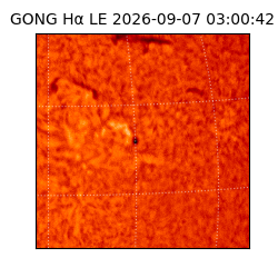 gong - 2026-09-07T03:00:42