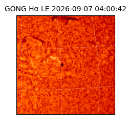 gong - 2026-09-07T04:00:42