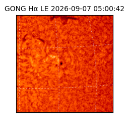 gong - 2026-09-07T05:00:42