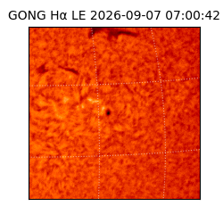 gong - 2026-09-07T07:00:42