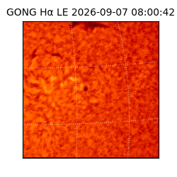 gong - 2026-09-07T08:00:42