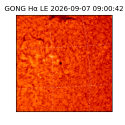 gong - 2026-09-07T09:00:42