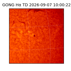 gong - 2026-09-07T10:00:22