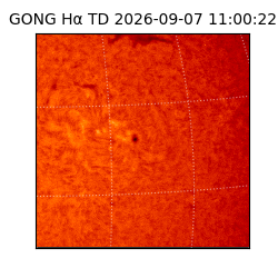 gong - 2026-09-07T11:00:22