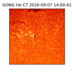 gong - 2026-09-07T14:00:42