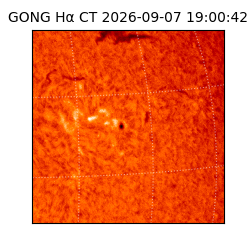 gong - 2026-09-07T19:00:42