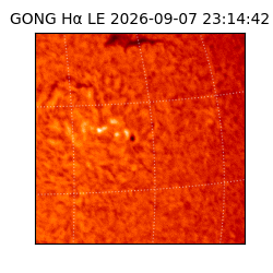 gong - 2026-09-07T23:14:42