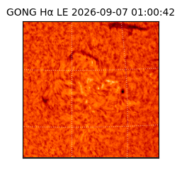 gong - 2026-09-07T01:00:42
