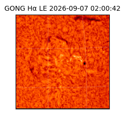 gong - 2026-09-07T02:00:42