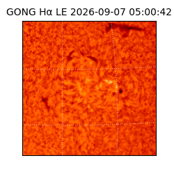 gong - 2026-09-07T05:00:42