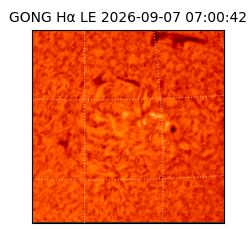 gong - 2026-09-07T07:00:42