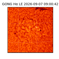 gong - 2026-09-07T09:00:42