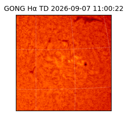 gong - 2026-09-07T11:00:22