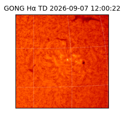 gong - 2026-09-07T12:00:22