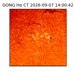 gong - 2026-09-07T14:00:42