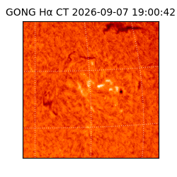 gong - 2026-09-07T19:00:42