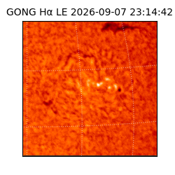 gong - 2026-09-07T23:14:42