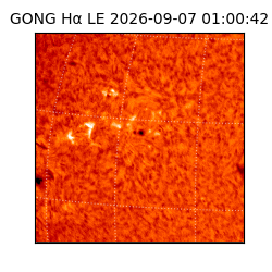 gong - 2026-09-07T01:00:42
