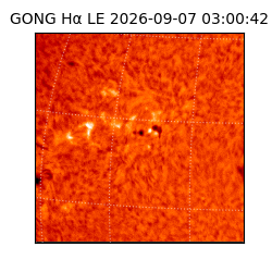 gong - 2026-09-07T03:00:42